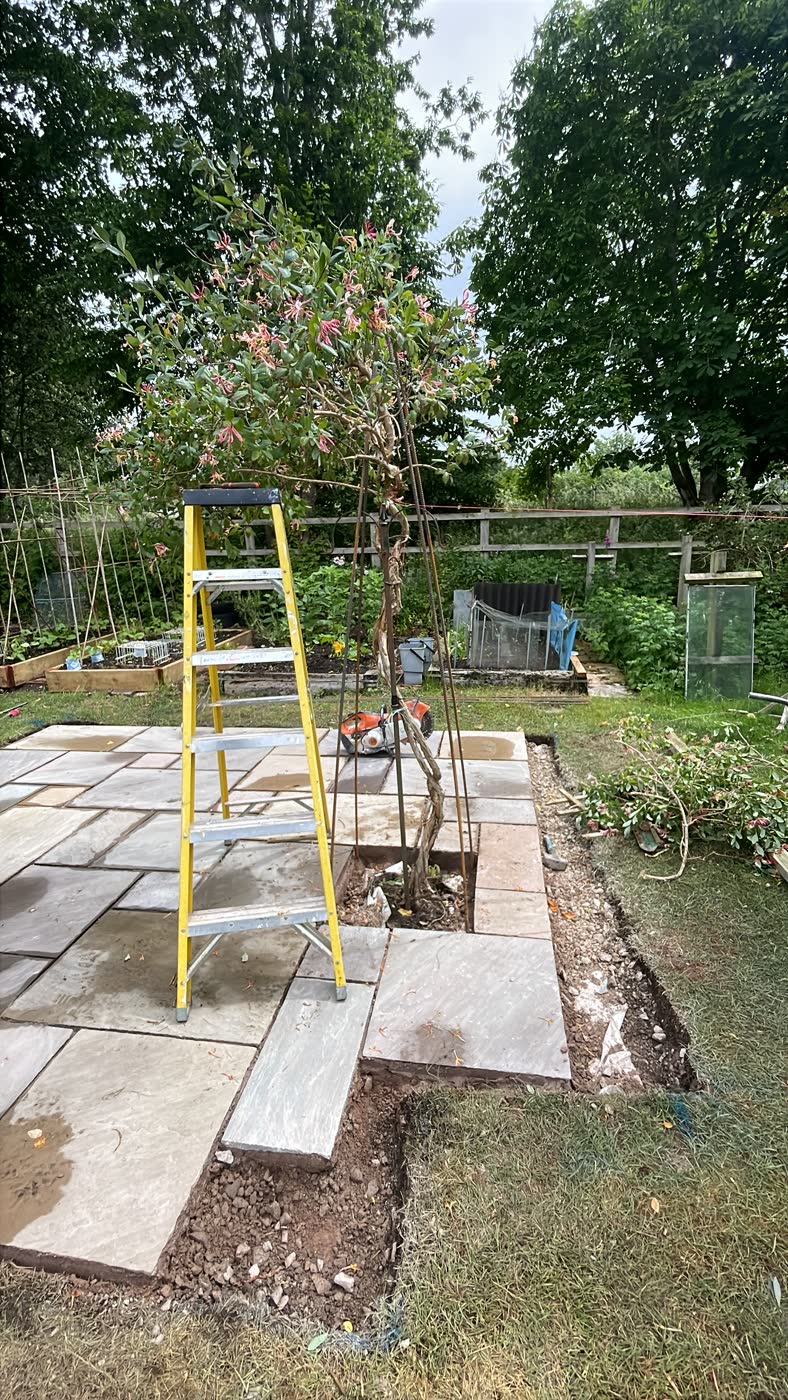 Patios & Paths in Wellsbourne photo 1